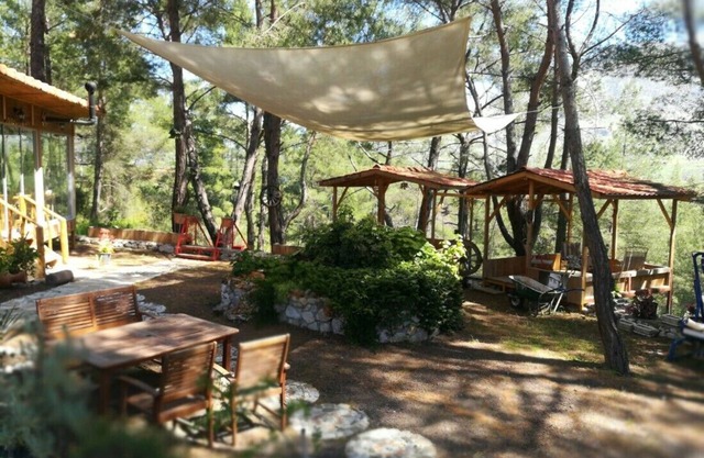 Olympos Tanrılar Kulübü