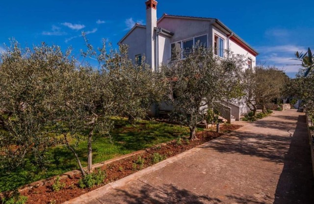 One Bedroom Apartment with Terrace (owner Cvita 2)