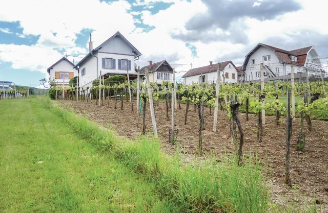 One-Bedroom Holiday Home in Hannersdorf