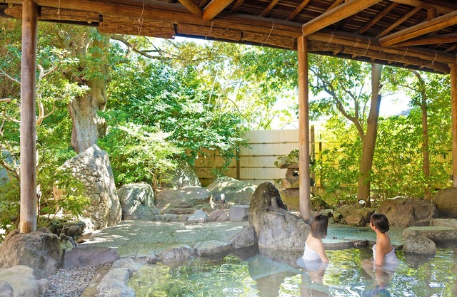Ooedo Onsen Monogatari Awara