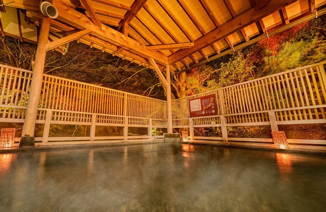 Ooedo Onsen Monogatari Premium Yoshinoya Irokuen