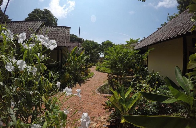 OP Bungalow