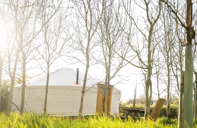 Overe - The Farm Camp