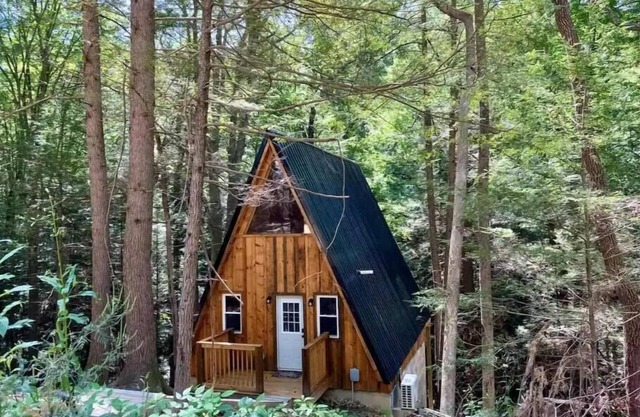 Overlook Oasis! RRG, A-frame Cabin, NEW HOT TUB, Grill! Pet friendly