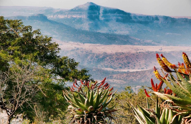 Own your piece of Africa
