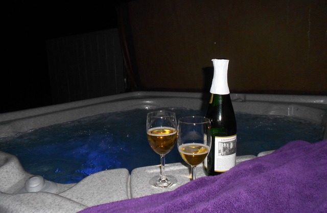 !Owner Mngd & Shows! Yrs of Happy Guests! Updates Thru-Out & PRIVATE Hot Tub!