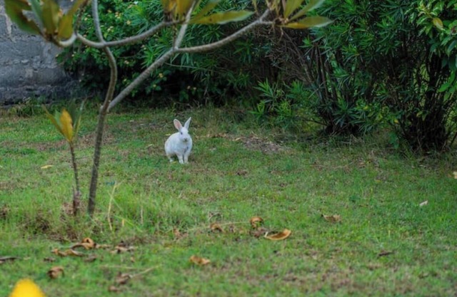 Oysterbay House by ROKAR II