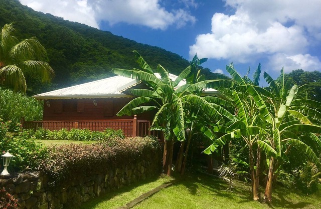 P'TITE CASE BONHEUR AN NOU