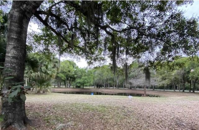 Palm Retreat - Large home with pool, hot tub, volleyball