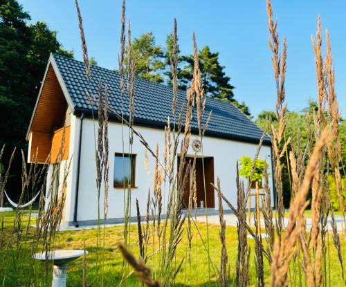Palma de Masuria Ekskluzywny Dom na wyłączność