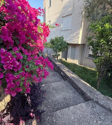 palmera apartament