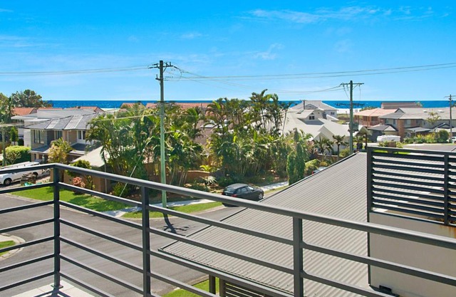 Pandanus - Lennox Head