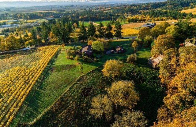 Panoramic Vineyard Views, Pet Friendly, New Deck, Game Room, Ping Pong, Darts, Walk to Vineyards