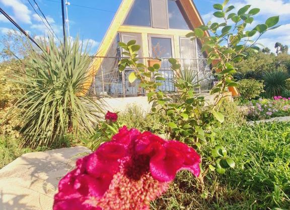 Paradise cottage
