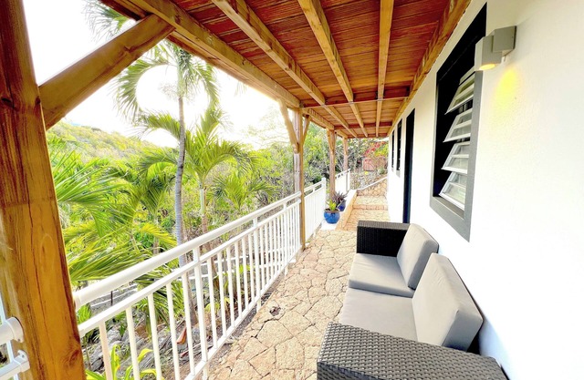 Petit Citron Vert, Terres Basses St Martin FWI