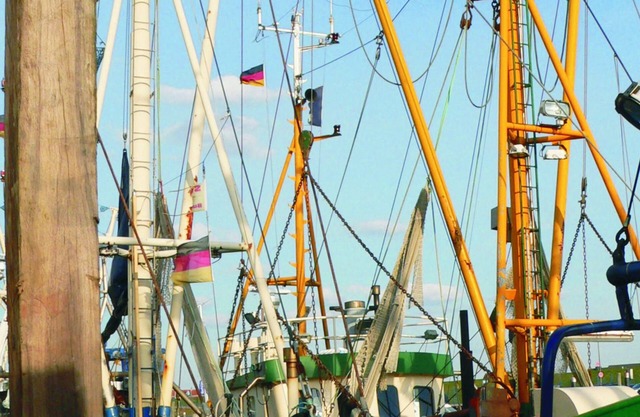 Peace and relaxation in healthy North Sea air - family-friendly - Fewo MARINA