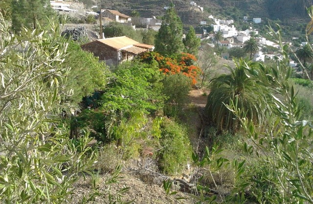 Peace and tranquility on the Mountain with sea views