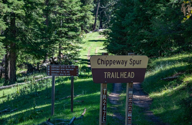 "Peace & Quiet", Nature's Retreat, 50 yds from Trailhead, Wildlife Galore