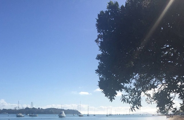 Peace & tranquility, one min from beach - large spacious living & 2 x Queen Beds