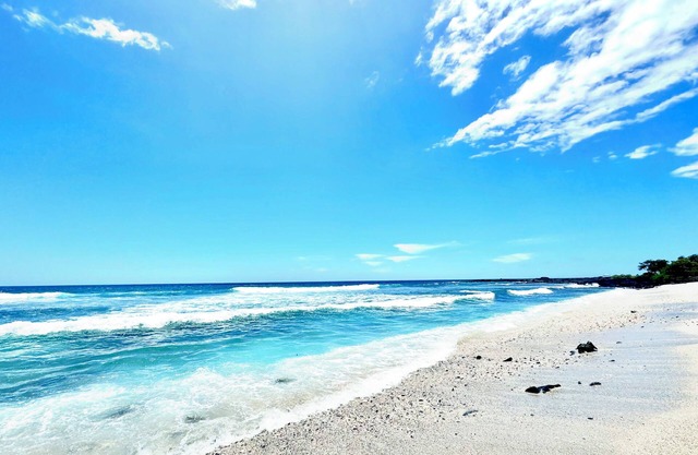 Peaceful Ocean Views Two Bed Condo! Minutes to Beaches, on Golf Course, with Gym