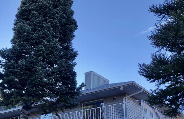 Peaceful Pine Valley Retreat