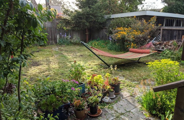 Peaceful relaxation in house with lots of restaurants and the Bay close by!