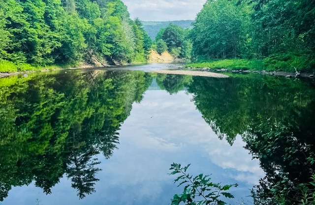 Peaceful riverfront house, dog-friendly, woodstove, decks, bbq, firepit, dock
