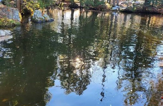 Pembine Northwoods Cabin