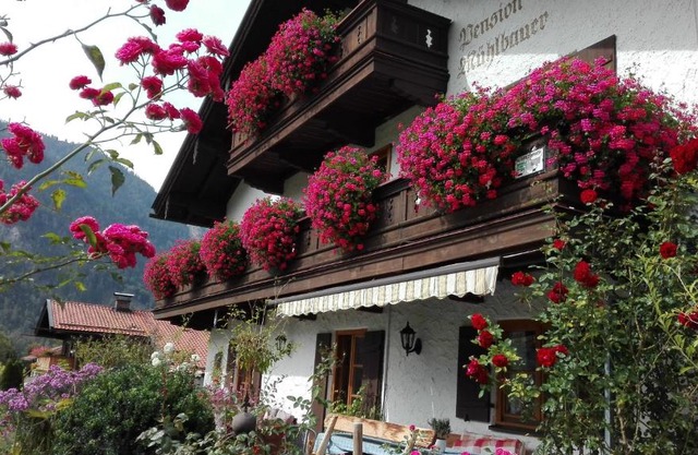 Pension Mühlbauer