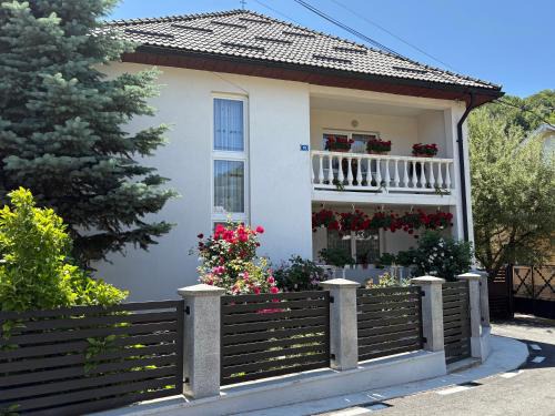 Pensiunea Grapini