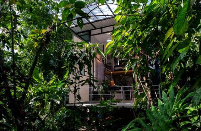Perezoso Villa. Jurassic Park loft in the jungle