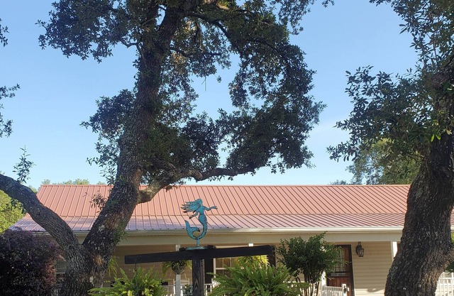 Perfect getaway home for the holidays! You can even bring the furkids
