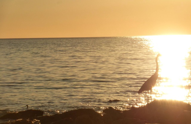 PERFECT LOCATION STEPS TO LIDO BEACH