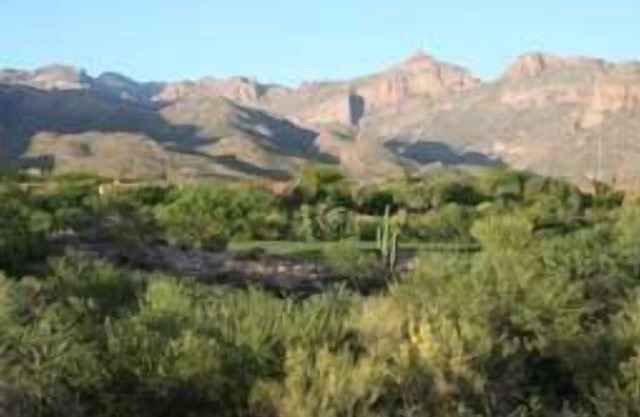 Picture Window Perfect-1 bedrm/den Stunning Mountain View- Many upgrades!