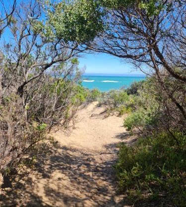 PIECE OF PARADISE, huge 4 bedroom haven