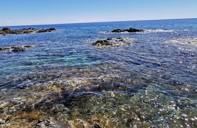 Pieds Dans L'eau Villa "crique aux Tortues"