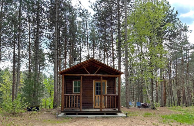 Pine Cabin