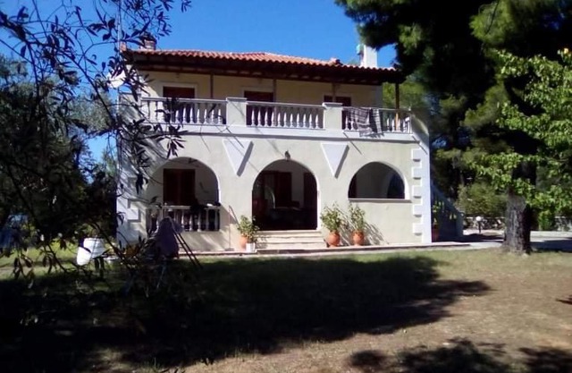 Pine tree house
