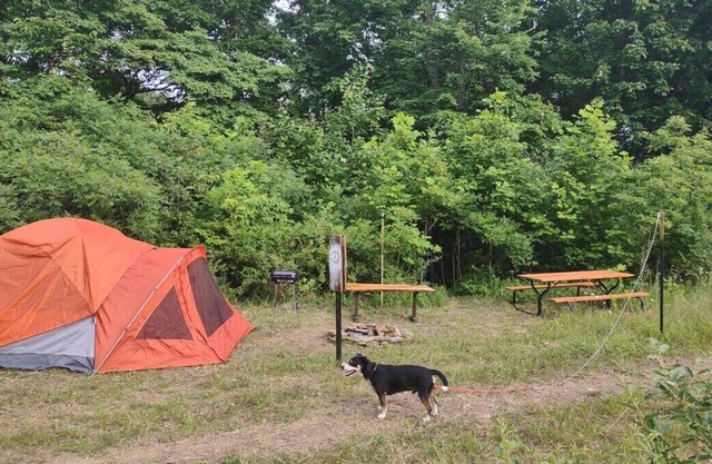 Pitch a Tent or Park a 20 ft or Smaller Camper at Camp Peace Hocking Hills