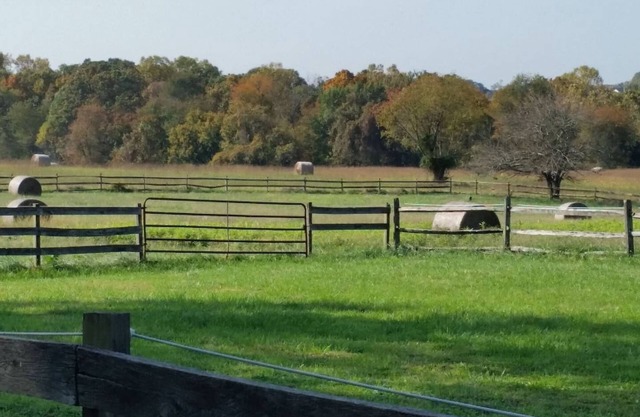 Pleasant Hills Farm Stargazer Farmstay