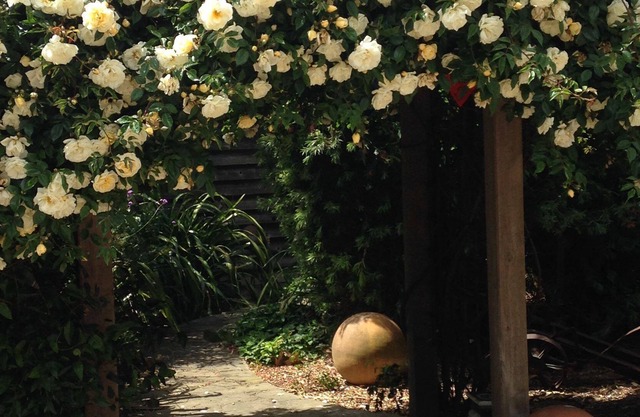 Point Leo Retreat - healing oasis on the Peninsula