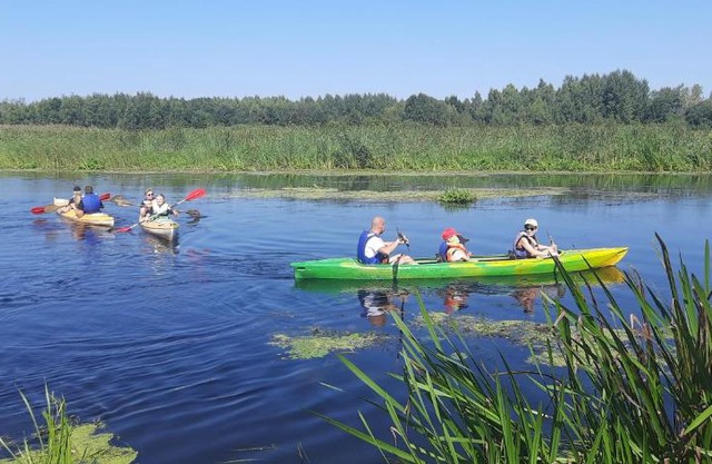 POLE NAMIOTOWE nad rzeką BIEBRZA w GONIĄDZU