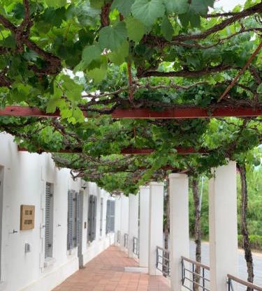 Port Wine Guesthouse