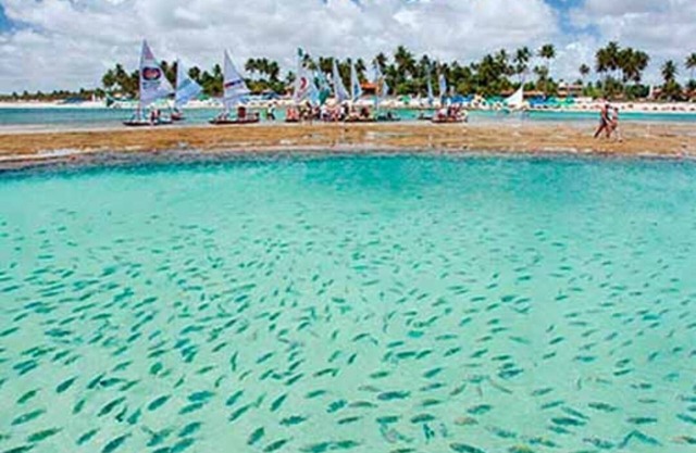 Porto de Galinhas - Furnished apartment - 03 qts - 50mts from the beach