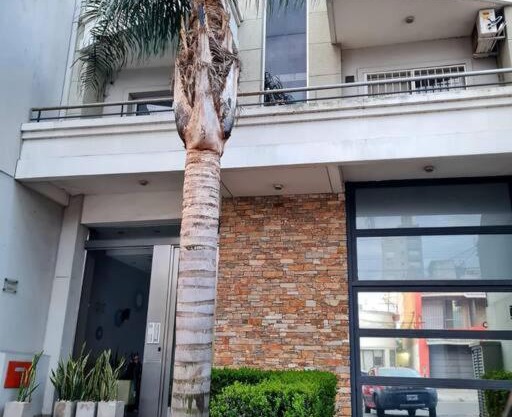 Precioso departamento en zona gastronomica con cochera