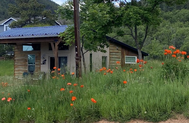 Pristine New Modern Bungalow At the Base of The National Forest; 1 Acre of land