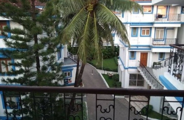 Palms 