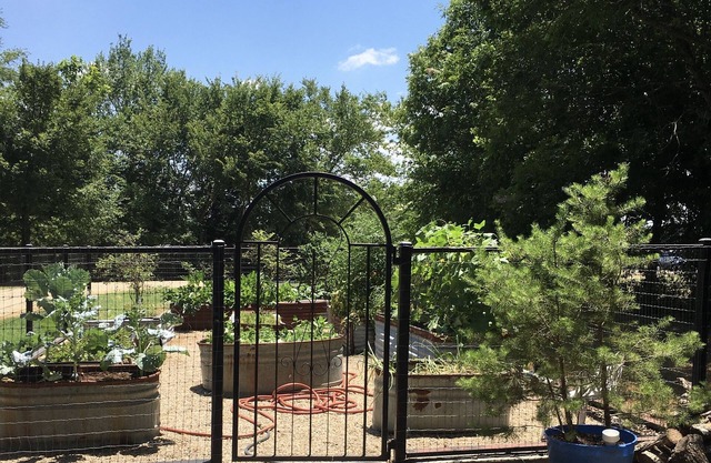 Private cottage situated on 6.5 acres, beautiful sunrises, pond, fishing & more.