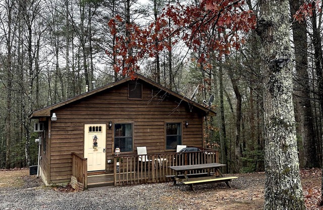 Private cozy cabin in the woods with great view!
