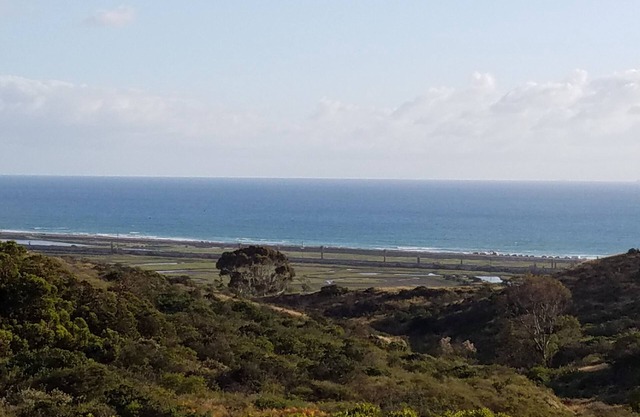 Private entrance 1 bedroom flat close to the beach in a quiet neighborhood